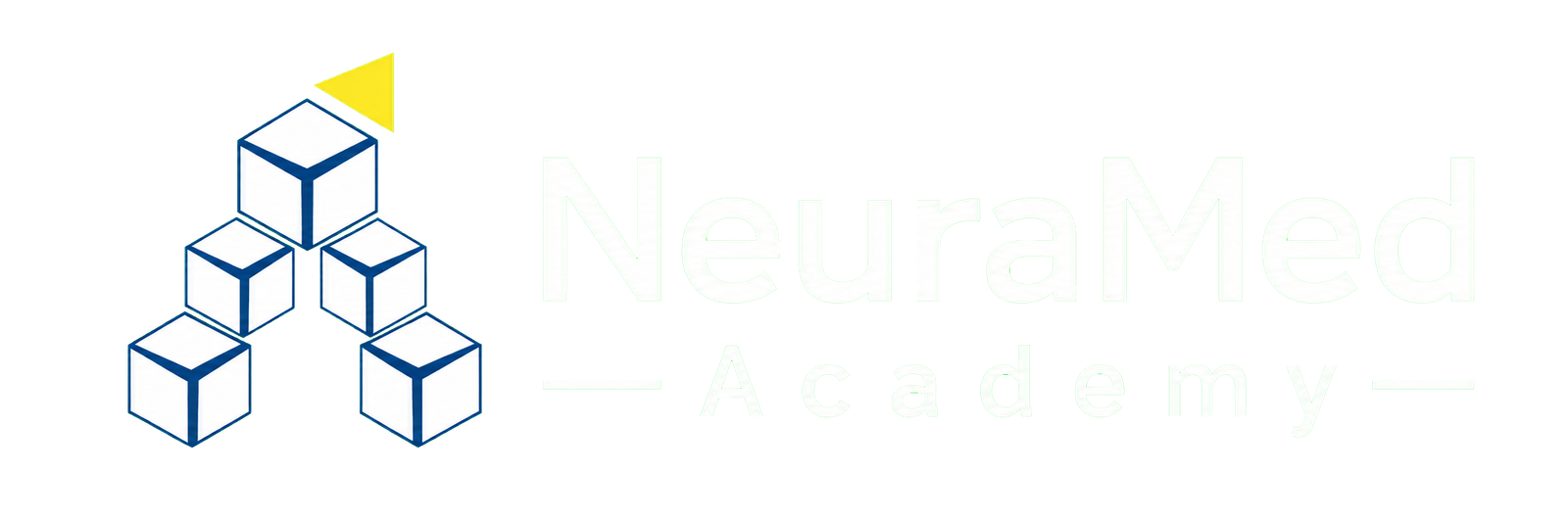 NeuraMed Academy